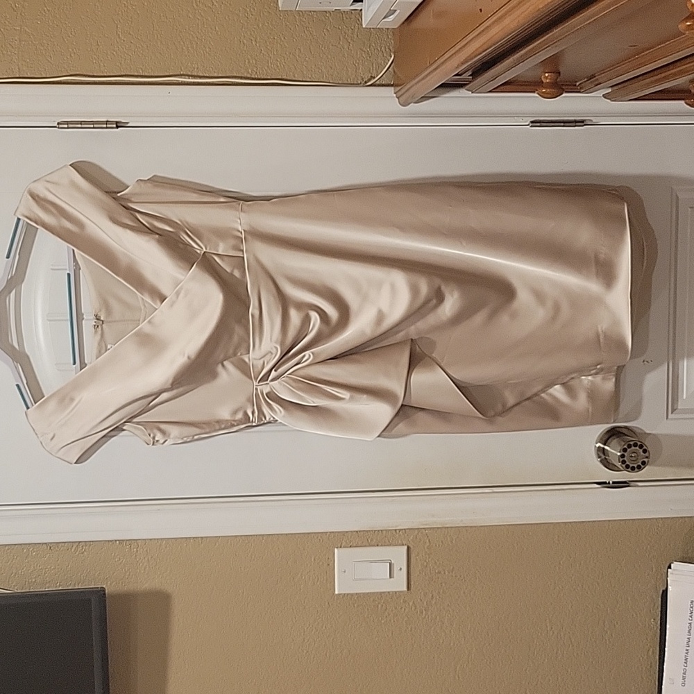 Maggy London Champagne Silk dress size 14